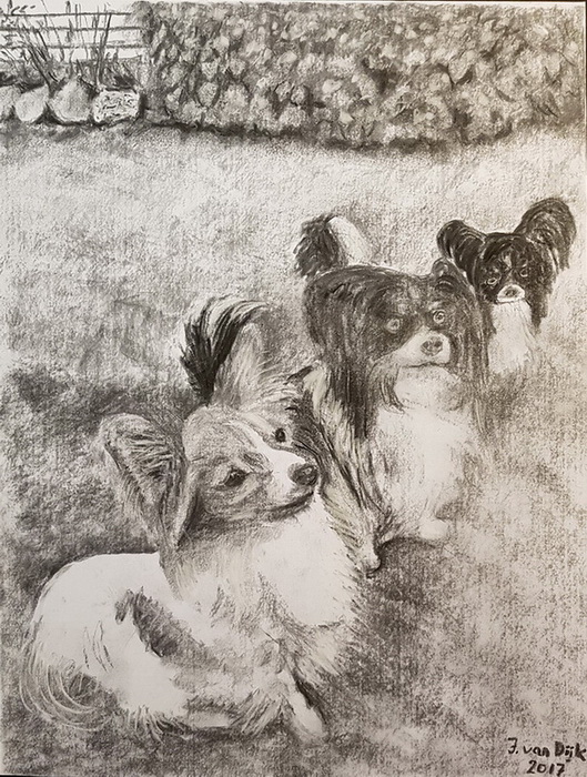 Sally, Chip og Elvis